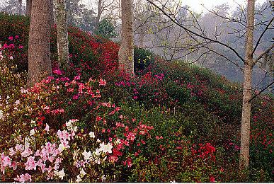 《猫咪斗恶龙3》启航在即！iPhone、iPad 与 Mac 版正式公布